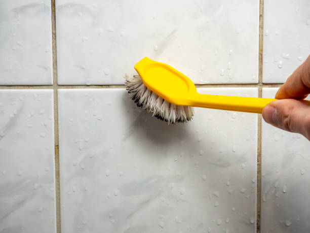 Best Black Mold Removal  in Half Moon, NC