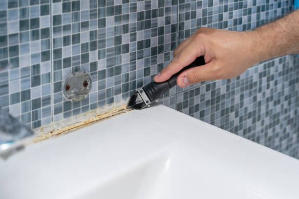 Best Office Mold Removal Services  in Half Moon, NC