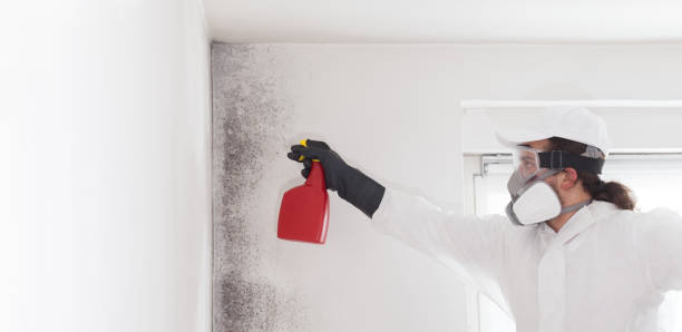 Best Mold Testing  in Half Moon, NC